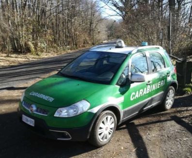 carabinieri-forestali