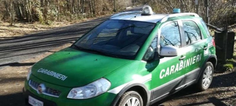 carabinieri-forestali