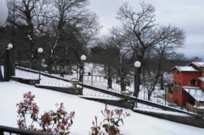NEVE-3C