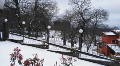 NEVE-3C