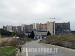 belcolle4