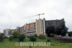 belcolle5