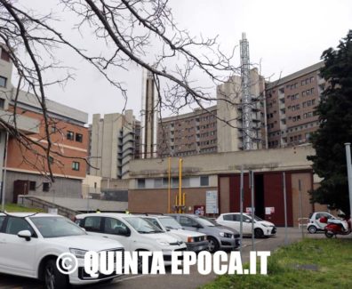 belcolle7