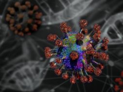 coronavirus