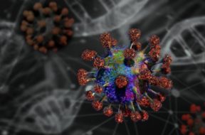 coronavirus