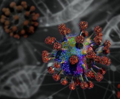 coronavirus