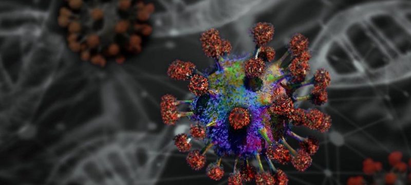 coronavirus