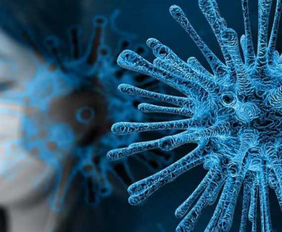 coronavirus
