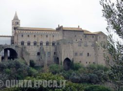 faul-papale-viterbo