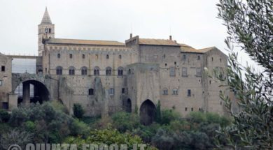 faul-papale-viterbo