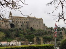 faul-papale-viterbo2