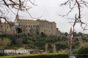 faul-papale-viterbo2