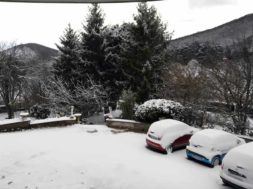 neve2