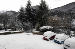 neve2