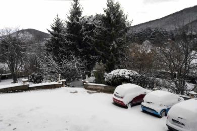 neve2