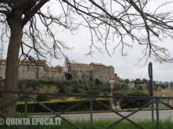 papale-faul-viterbo