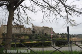 papale-faul-viterbo