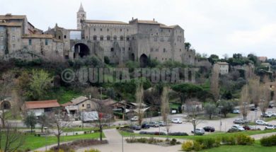 papale-faul-viterbo-3