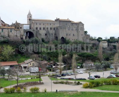 papale-faul-viterbo-3