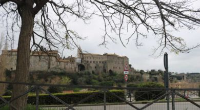 papale-faul-viterbo