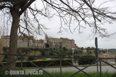papale-faul-viterbo