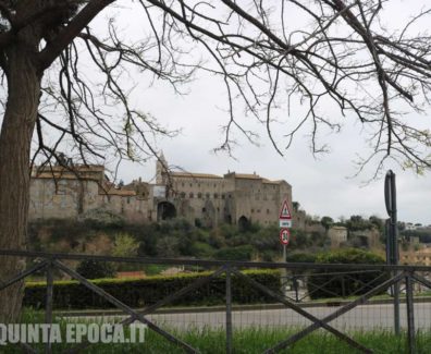 papale-faul-viterbo