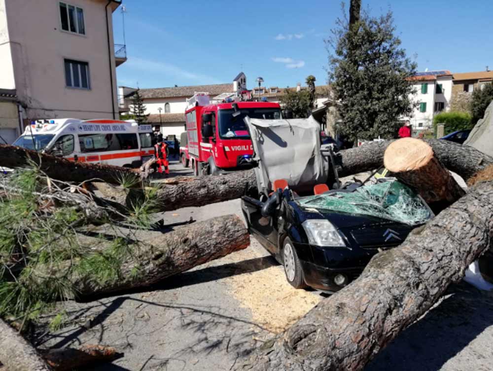 Vetralla: pino cade su un’auto in transito. Donna con codice rosso a Belcolle.
