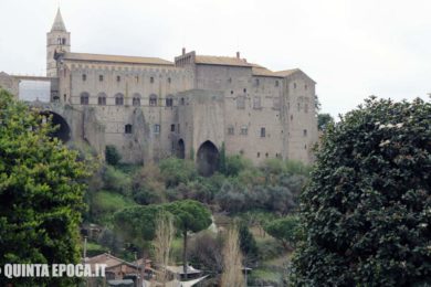 viterbo-faul
