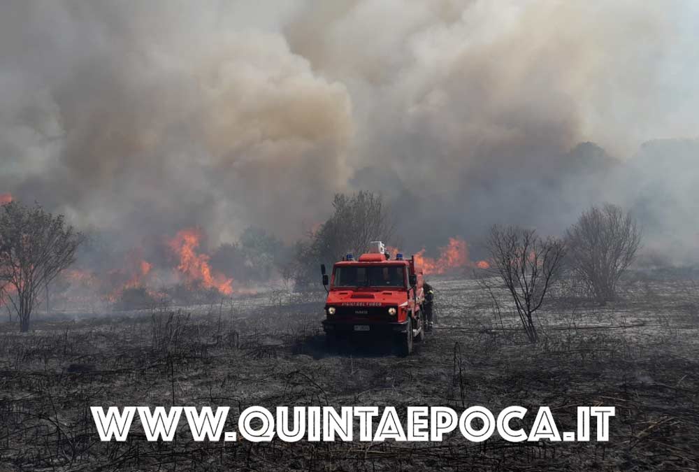 Tre ettari di bosco in fiamme: 3 ore per spegnere l’incendio.
