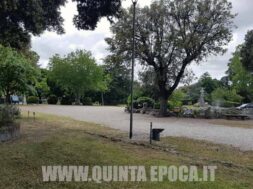 prato-giardino-1