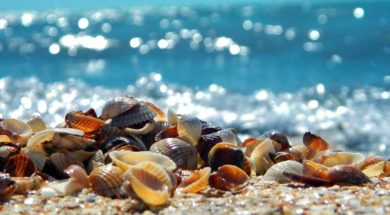 spiaggia