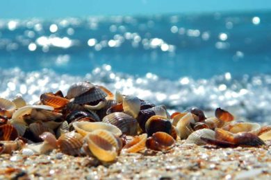 spiaggia