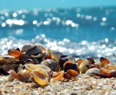 spiaggia