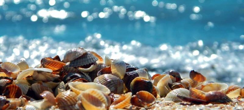 spiaggia