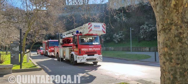 vigili-del-fuoco