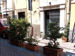 pinsa-romana