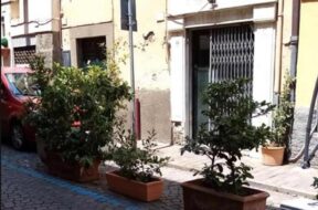 pinsa-romana