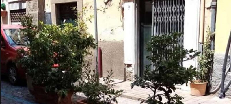 pinsa-romana