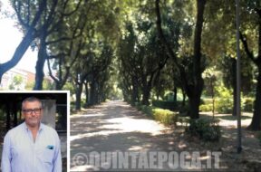 Contardo-Prato-Giardino