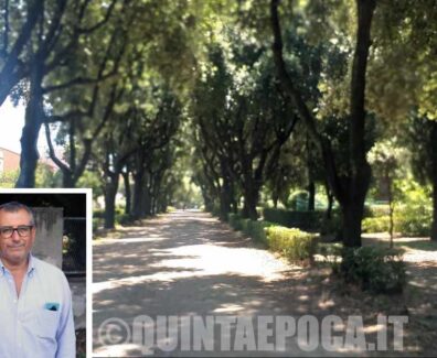 Contardo-Prato-Giardino