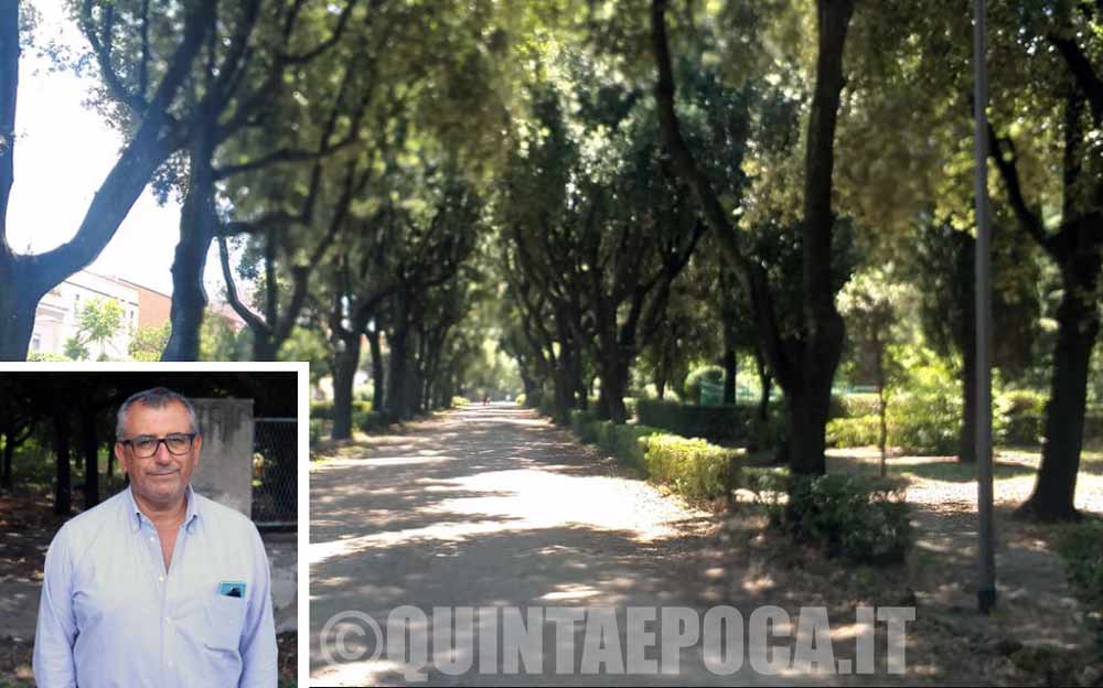 Prato Giardino, Contardo: «Nuovo impianto di irrigazione». Presto altri interventi.