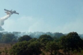 aeroplano-vigili-del-fuoco