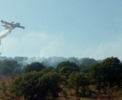 aeroplano-vigili-del-fuoco