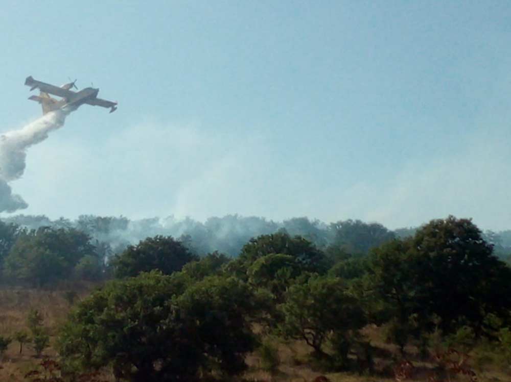 Monte Calvo: a fuoco 15 ettari di bosco e sterpaglie.