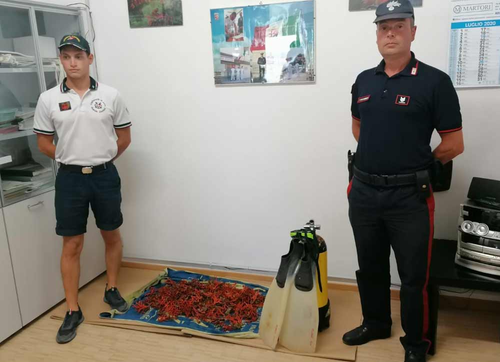 Montalto di Castro: sequestrati 5 chili di corallo vivo. Denunciati due pescatori.