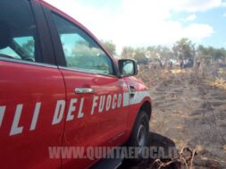 VIGILI-DEL-FUOCO