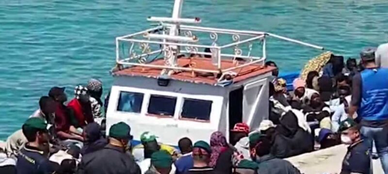 migranti