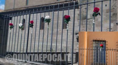 rose-rosa