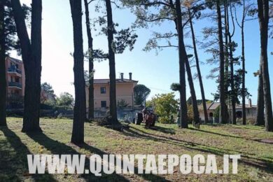 PARCO-DEL-COLLE