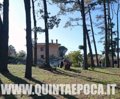 PARCO-DEL-COLLE
